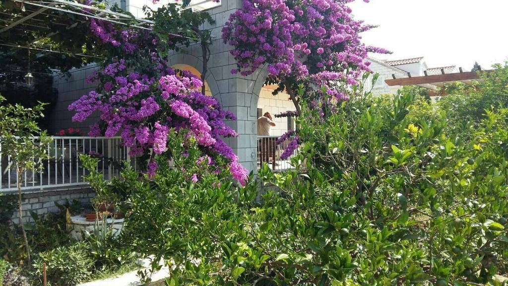 Apartments Husanovic Mokošica Екстериор снимка