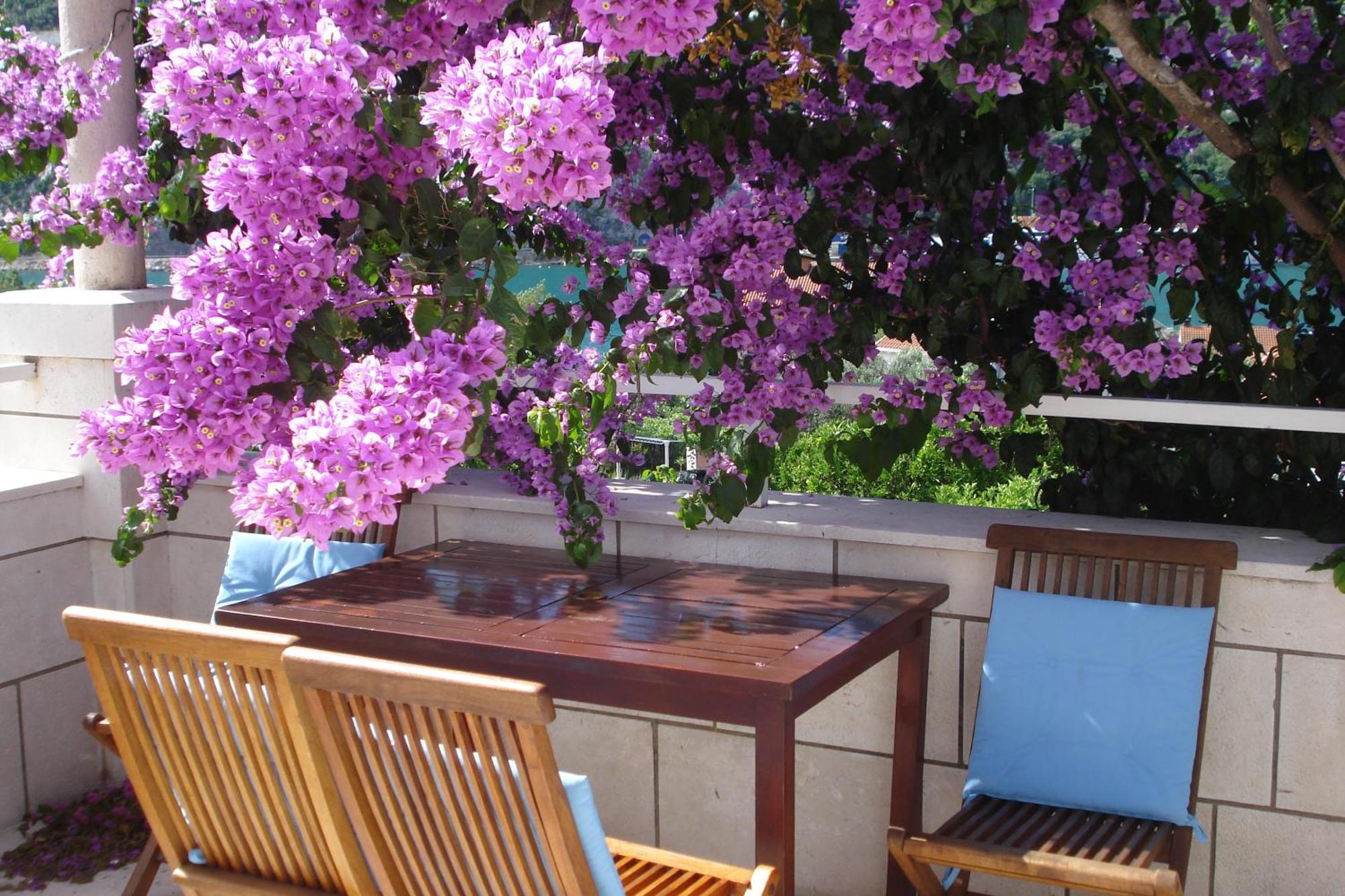 Apartments Husanovic Mokošica Екстериор снимка