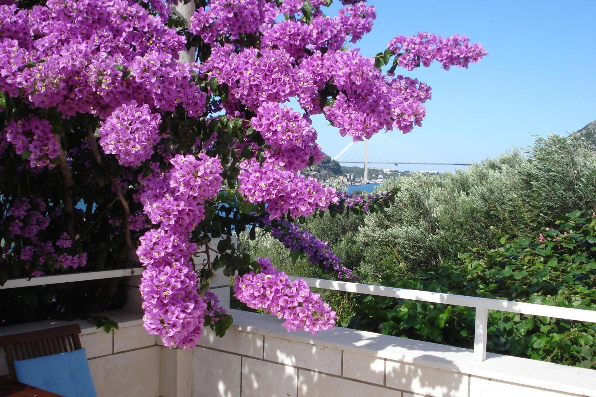 Apartments Husanovic Mokošica Екстериор снимка