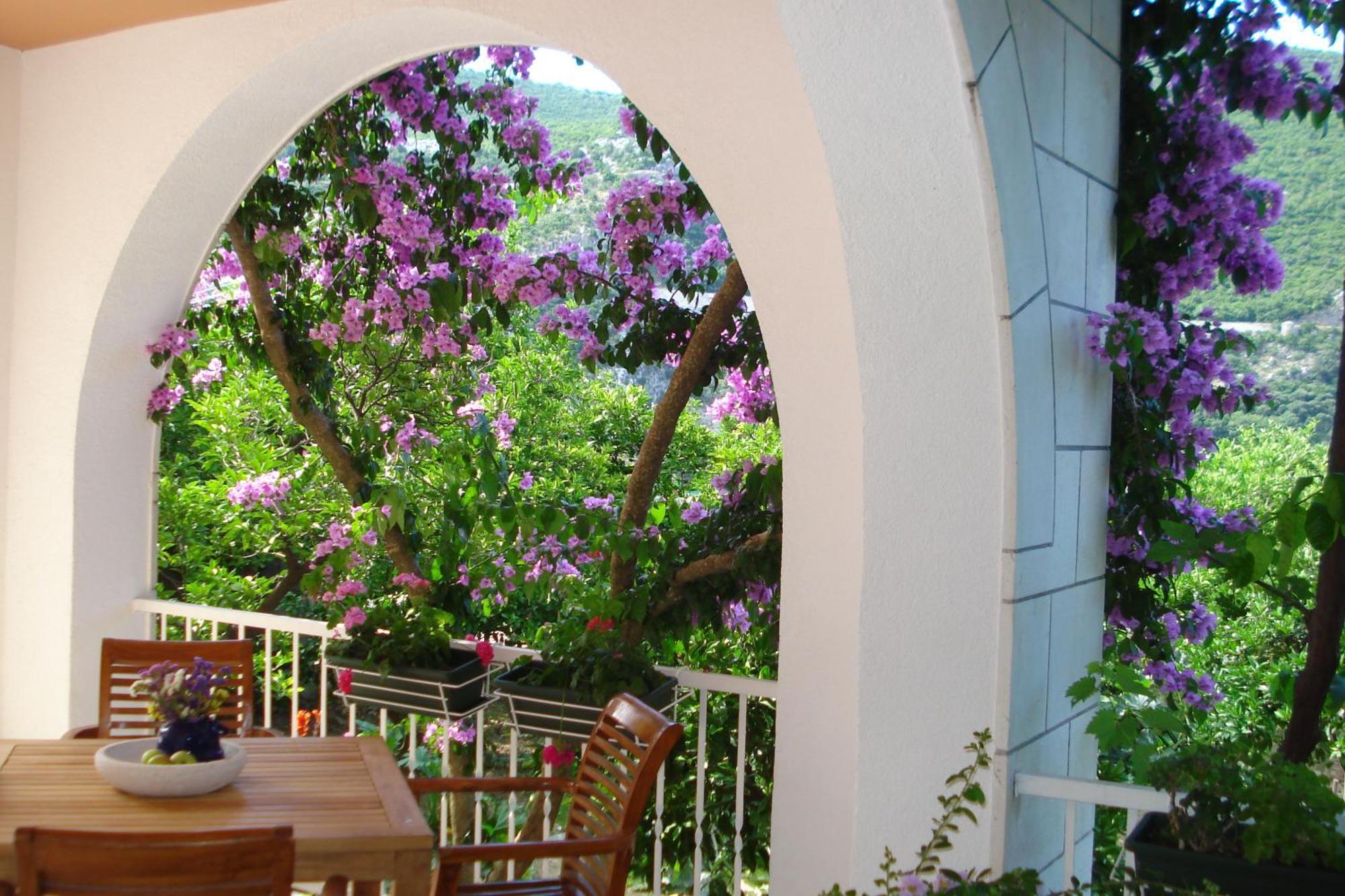 Apartments Husanovic Mokošica Екстериор снимка