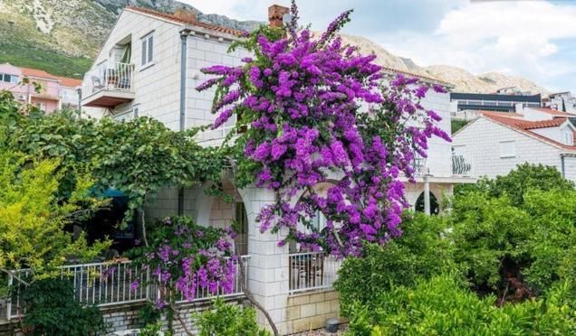Apartments Husanovic Mokošica Стая снимка